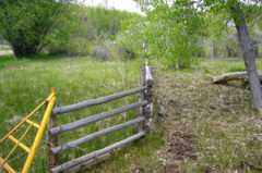 Cattle guard and fence at campground.  Cows hang out at viewer's right.